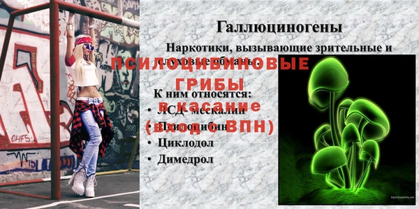 мяу мяу мука Богородицк