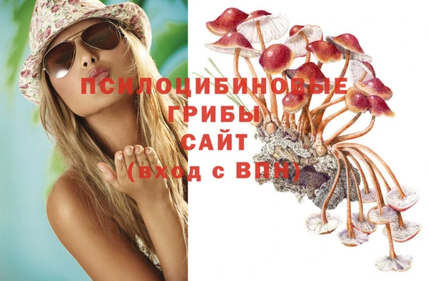 прущие крисы Богородск