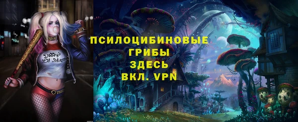 прущие крисы Богородск