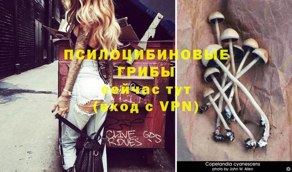 прущие крисы Богородск