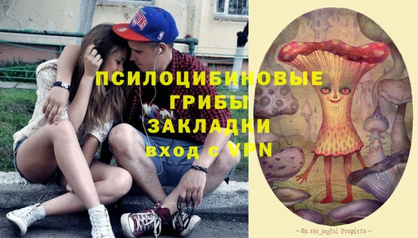мяу мяу мука Богородицк
