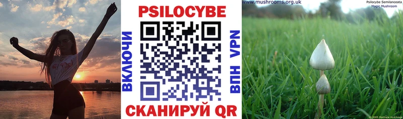 Псилоцибиновые грибы GOLDEN TEACHER  Купить где  Малоархангельск 